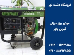 3-kw-green-power-diesel-engine-02